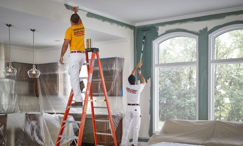 Increasing Your Home’s Splendor with Master Color Organization – Sydney’s Premier Residential Painting Experts